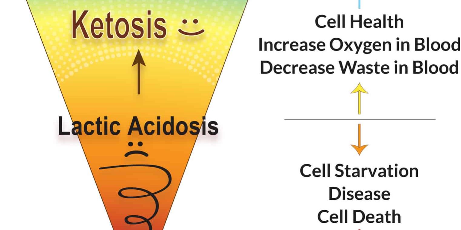 Lactic Acidosis – The Mechanism To Chronic Illness - The Good Fat Bar